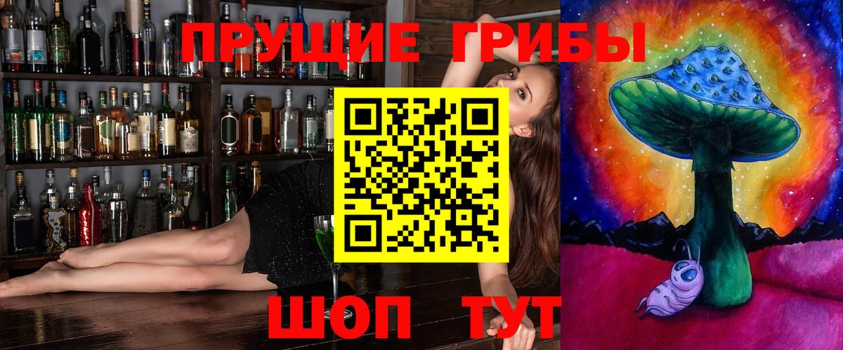 Сорочинск  Галлюциногенные грибы Psilocybine cubensis  Псилоцибиновые грибы прущие грибы  Вход с VPN 