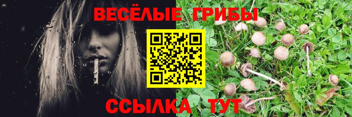 Галлюциногенные грибы ЛСД Сорочинск