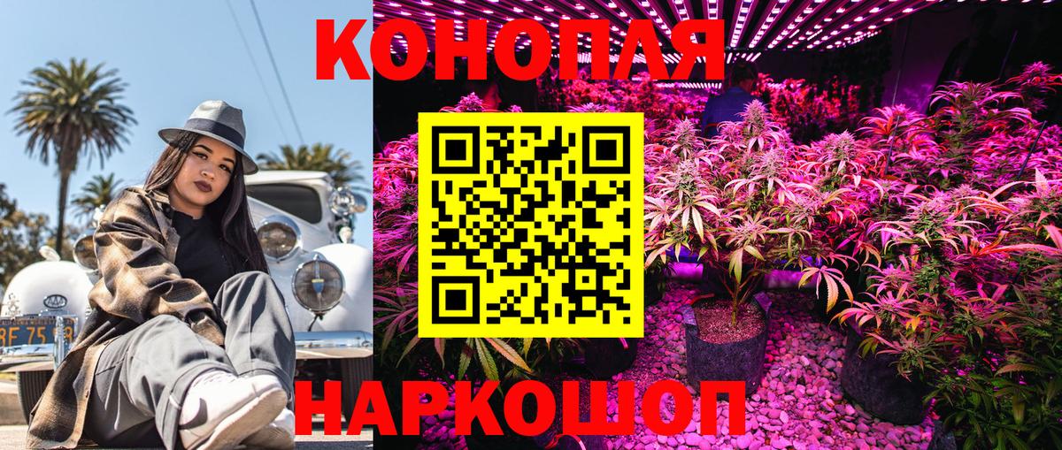 Бошки марихуана Amnesia Сорочинск